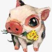 Cee7c627e8dc5b8f0c32bf9e53b974de1b4f031c