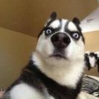 571a1dc84f4e9ca77b1fcf03cb160113baa88eb9