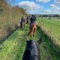 7521e11db076d1672849e8e2ecfa995369de8f77