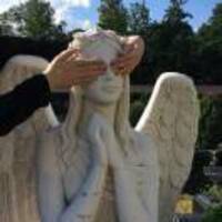 F2956b84d3717cc1d3547a26def7a2b3b293fd23