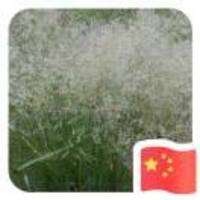 E9cd80c15d77bf3dc3a3f0f9cf832dbaa8d9c749