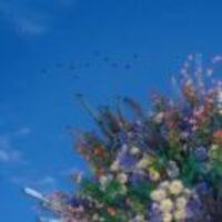 A2e0e25bbea0ebf01c5a24cc3605b1d367a4b38d