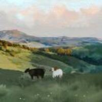 Acb9c64f0b4967b4be9444662f4290283e2b2b4e