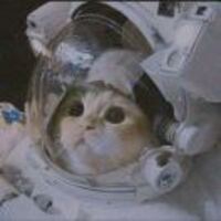 58d5390f682d003dcdb7c79383aded894c24ebad