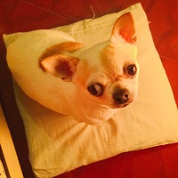 08547975bb205f2edabfa446766217e0dbdc63ba