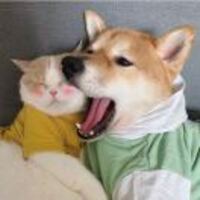 F1e85a0172cfeb54f01717c6ea7caeba0e8b1fe0