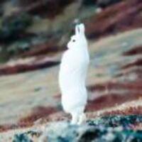 585fee7bceafde5ca285d16b5c15450d397d0e11