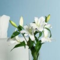 89e1c9b313e7806dc23039b293cf2a77bafb43cf