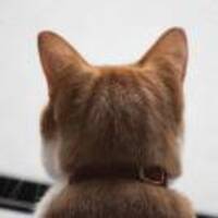 8af79ae33704450a15fbc15816442bf0b27ecb6a