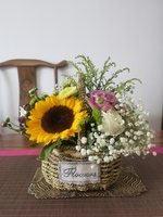 D4b0d91b1755b0de0c479dfe8d611253a7989bb9