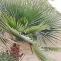 D64ed235b4e819c665a347434d3c83f8c11fff77