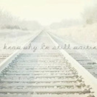 806f4c68c77132e1da3439a7f1e96f905d1b2795