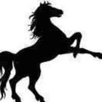 E86dcabe065aa909b746de614e755192122d45ea