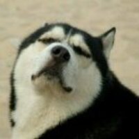 B73ab6bb395d20bddf99ad1f9b289b124b9820fa