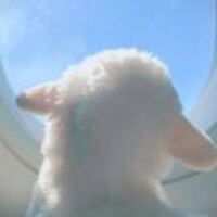 1ff306da871991e74e14618d2f750df9a0aa685f