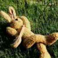 6aaec662f3addf92741d3e7ca7022fd5c0464890