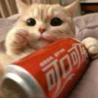 163bbf372a4852efb36920c5c0d1305a87f29064