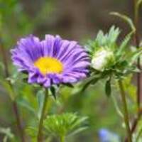 8104bc01cfee1b34013562bf0108c9d18940b30c