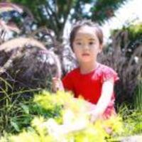 6c52864ae7a7e6db2f4eb8a58e917140378cd29b