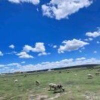 6280a35551a99881daf7cb0937b062bc42c3768a