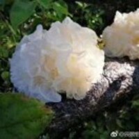 Fae74cf6e9ed44523e9f47350ed158eeaa6f5a12