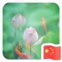 C8b9c95a32c5d9c505d5c4039e4034b628491f15