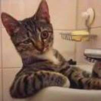 25a4be92c1d7c5e3130e30caccbea6163508e8d5