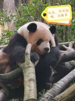 C006f90aac17779342875d67392bdee7f81df822