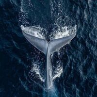 597c07640b81951447e87bd2e07ac73fff1e943f