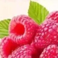 De143fecb023e08680160e557388a784eebe478d