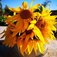 960b0b8b51d7079c1f35721f1d3b900b66fd1581