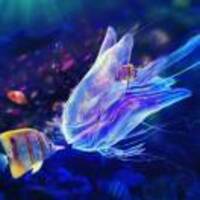 095ccb4dd1d8903dc99e136e6dcbc586093ea022