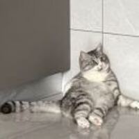 0e77e7d2c909f06b28082f4853790e751e270479