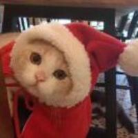 9ea8a7e376cc977f0ddb7bfe130a26b617be0bc4