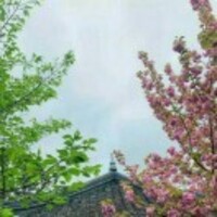 87f4f13bc712e97f72200f5972718d2934b3636e