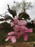 63d53e9f7c98f955b9da2ce6b39d6db5e9cbd06c