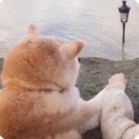 E31da9ddf867cdbe91fe01dfd8791c83c38fbd78