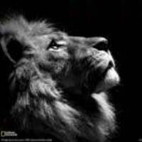 0ed3e077e75eb75966d4f24e3c5cadbed059d9bc