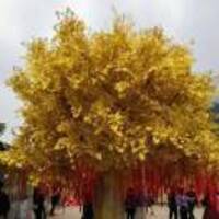 87831006bf649a024574c8acf06d8f2a95cc5061