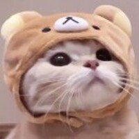 569c8a62590a909e0c828ef35f31c5e99b151881