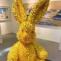 D0663b85a3551f4fbc522e076a143275efe97307