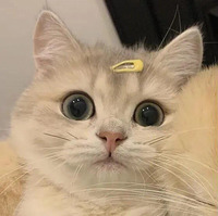 6b9c25ec69211baf13bff6e408bcb786f3f9cd60