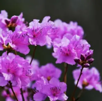 313618f8890778084c11a240a85418751c9e4878