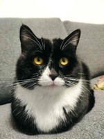 95a9b2c607425ba19bd0ded1a1c7f9b4b70fa1ba