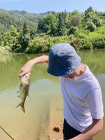 68ba4bf309dc7d2af3b96c485308577882a60b4d