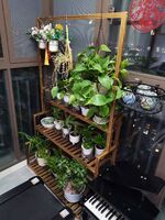 D767b472e31d683e40b7de567b016a3a4a0c0c77