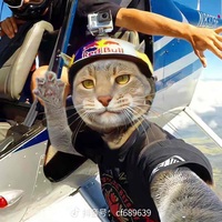 D2914256e4ddf534971b7873c3ad3142c569c780