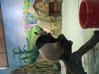 315a1bb7addfd870d616e182d89e093c8de8f234