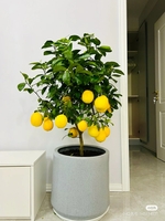 8f4f9d8cf56fa865eb00bccc23626d25c8f057c7