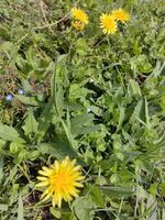 Ada9cf491cc4f5f042947de58b9e9877bfdffced